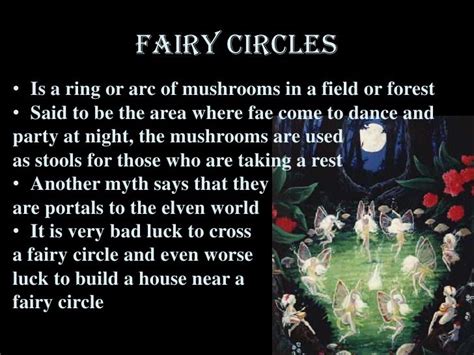 Fairy Education: Uncovering the Wisdom and Knowledge of the Fey